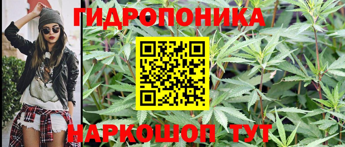 Каннабис VHQ  Канабис тримм  Киселёвск  Бошки Шишки AK-47  Вход с VPN 